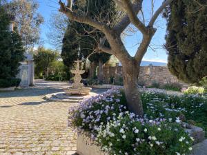 Appartement Gîte Comme à la maison 420 Route de Toulon 83400 Hyères Provence-Alpes-Côte d\'Azur