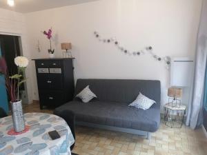 Gîte cosy la Mosaïque, à Selles-sur-Cher, 15 mn du zoo Beauval