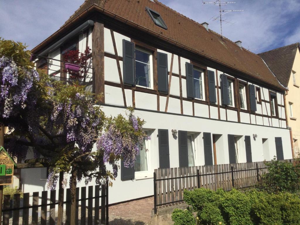 Appartement Gîte côté jardin 9 rue des trois-epis 68040 Ingersheim