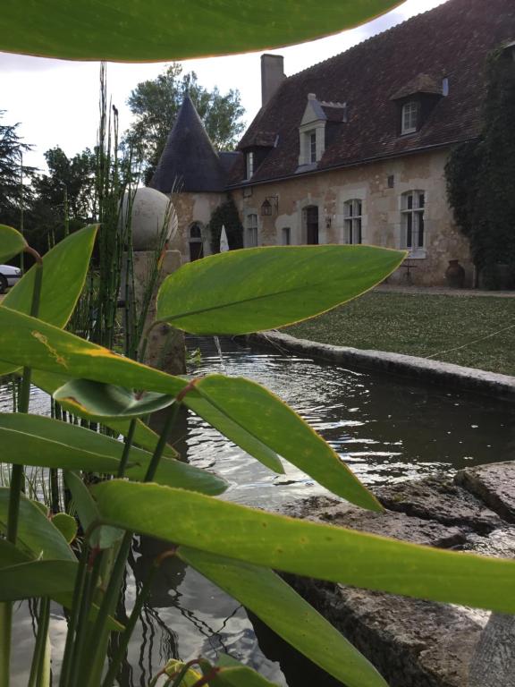 Appartement Gîte de charme au coeur de la vallée du Loir Le Grand Villemalour 41800 Saint-Martin-des-Bois