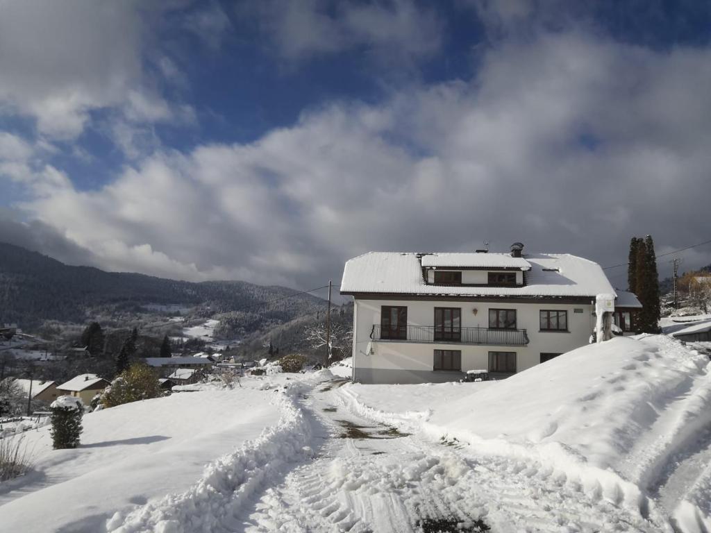 Appartement Gîte de famille dans les Vosges 9 Rue de Noiregoutte 88560 Saint-Maurice-sur-Moselle