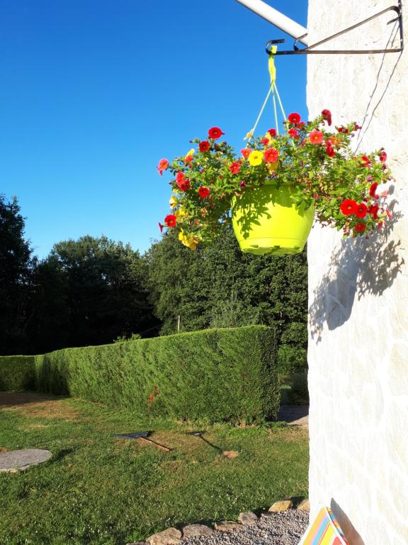 Gite de Lac Tranquille 190 chez le Geai, 87200 Plaud