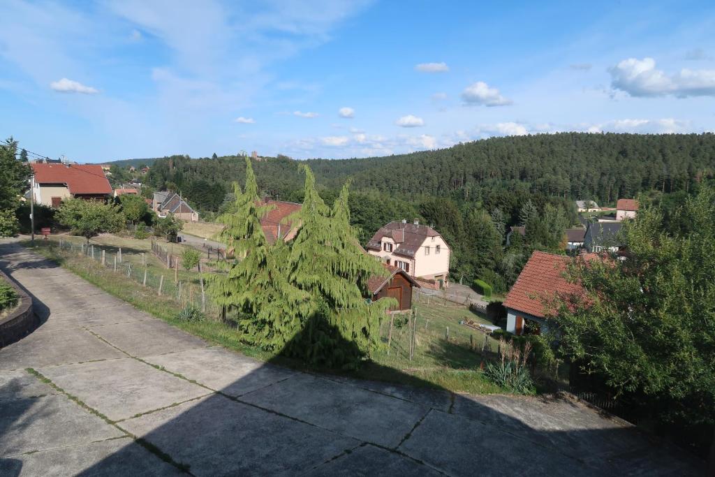 Appartement Gîte des abeilles du Kohlberg 1 Rue du Kohlberg 67710 Wangenbourg