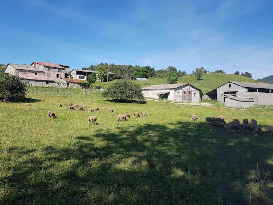 Appartement Gîte des Millets en Baronnies Lieu-dit les millets 05150 Rosans