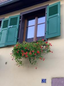 Gîte du clocher dans ancienne maison du vignoble