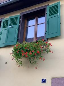 Appartement Gîte du clocher dans ancienne maison du vignoble Rue de l'Église 68230 Niedermorschwihr Alsace