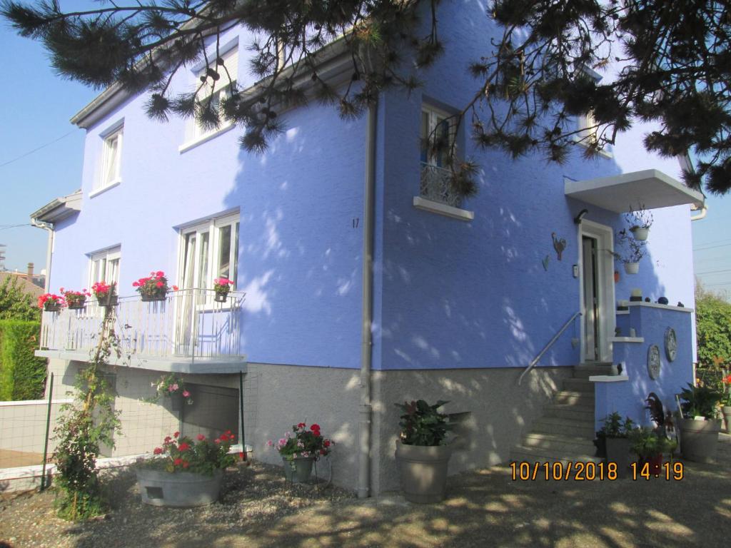 Appartement Gîte du Coq 17 Rue de la Protection 67380 Lingolsheim