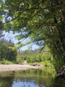 Appartement Gîte et jardin en bord de rivière Capou 30125 Saumane Midi-Pyrénées