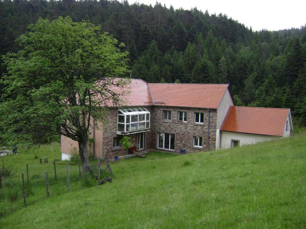 Appartement Gite GRETEL de la Ferme du Schneeberg 5 Rue du Rocher 67710 Wangenbourg