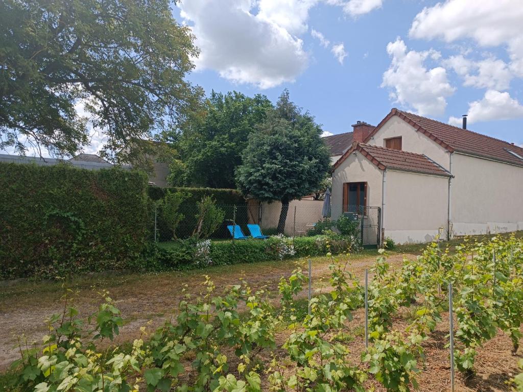 Appartement Gîte indépendant Diz'enreves au cœur des vignes 101 Chemin de la Poncelotte 51530 Dizy