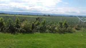 GITE LA CLE DES CHAMPS
