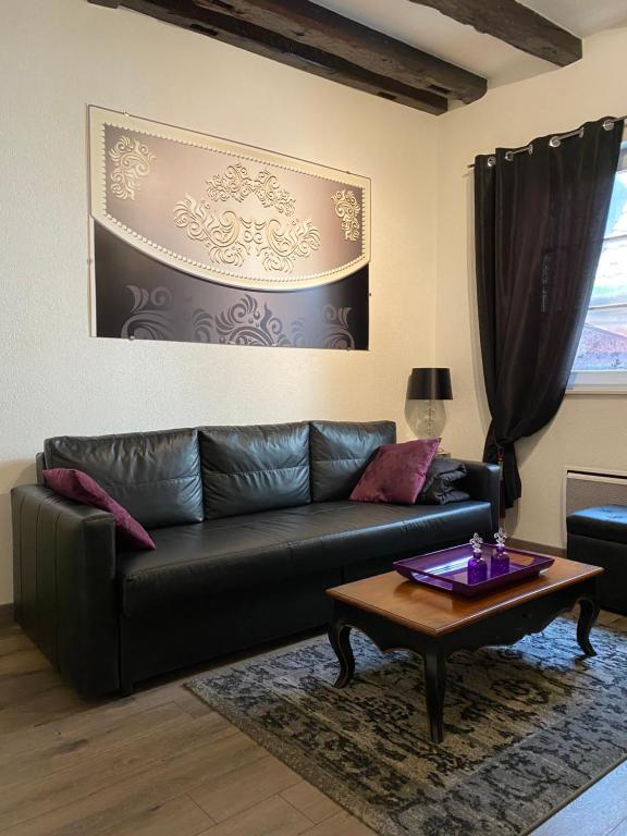 Appartement GITE LE BAROCCO 9 Rue de la Grenouillère 68000 Colmar