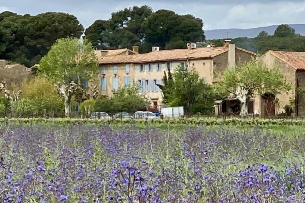 Appartement Gîte - Le Relais d'Affiac 15 Les Tuileries d'Affiac 11160 Peyriac-Minervois