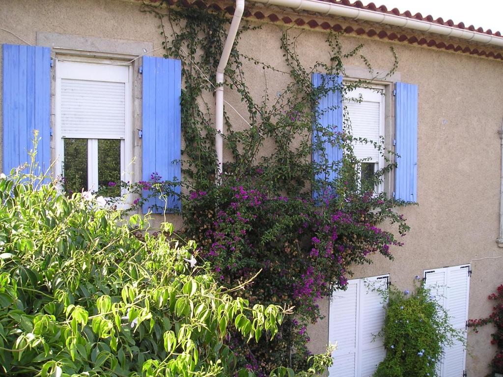 GITE MAMIE LAURENCE 10, route de tournebelle D32 LIEU DIT LA FONTAINE, 11430 Gruissan