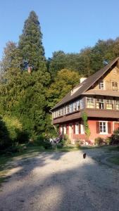 Appartement Gîte \ Chemin du Schlosswald 68140 Munster Alsace