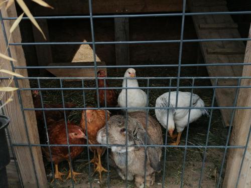 Gîte nature, cultivons le partage-RDC