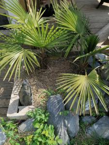Gîte nature, cultivons le partage-RDC
