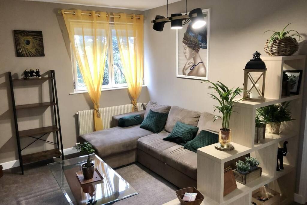 Gite PIPIOU ETAPLES 2 à 4 Personnes 3 Rue des Pluviers, 62630 Étaples