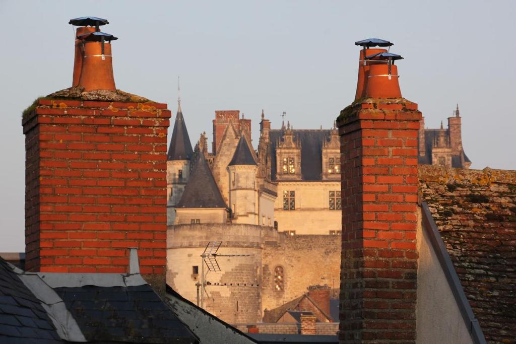 Appartement Gite Renaissance 1 Square des Anciens Combattants d'AFN 37400 Amboise