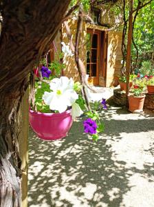 Gîte Sainte Croix en Jarez, Le Val des Equins