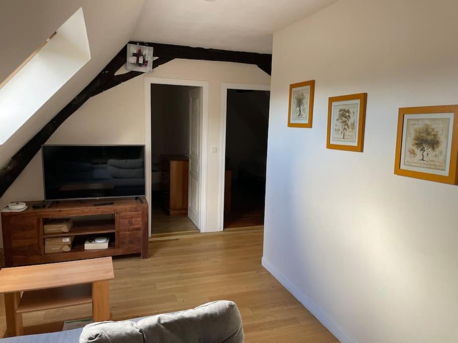 Appartement Gite Verronnerie 6 Rue de la Verronnerie 37150 Bléré