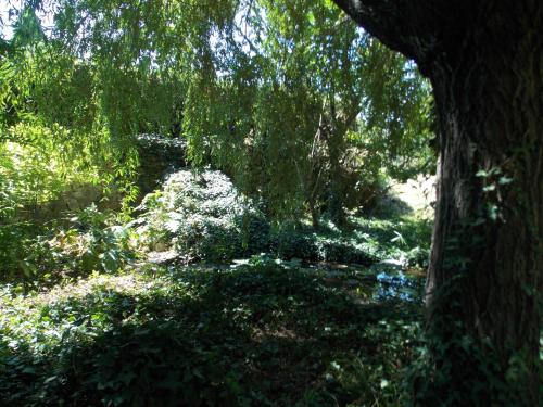 GITE VOLUBILIS BLEU