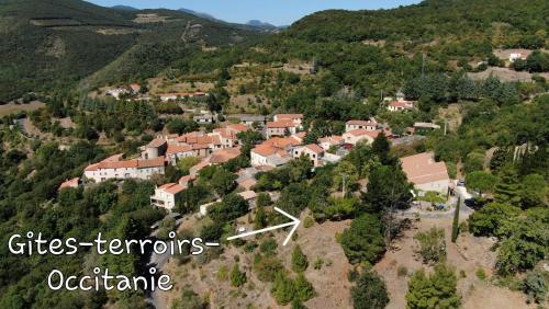Gites-Terroirs-Occitanie Syrah