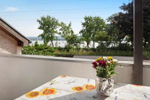 Appartement Gnadenseeblick Konstanzer Straße 4 78476 Allensbach Bade-Wurtemberg
