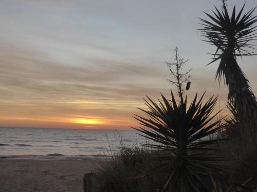 Golden Paradise 007 Cap naturiste Port nat