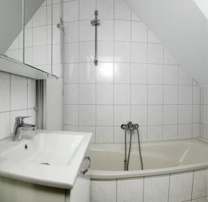 Gollwitzer Park Eulennest