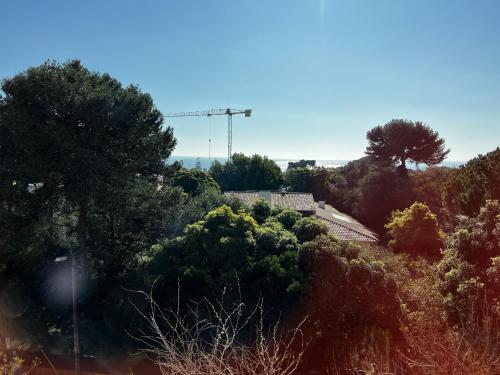Gracious apartment in condo with pool, Cascais