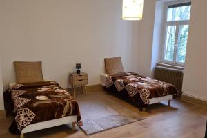 Grand 4p Strasbourg orangerie 7 personnes proche d Allemagne