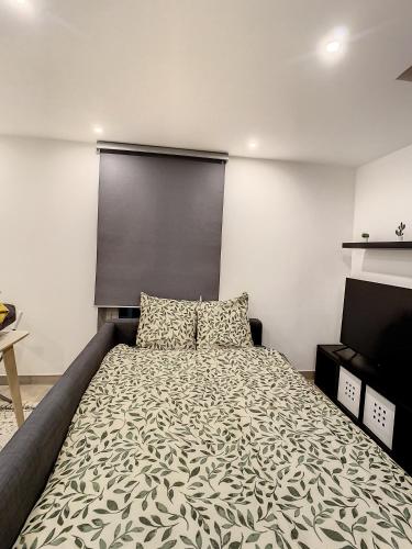 Grand Appart Duplex gare centre ville cosy 4 pers
