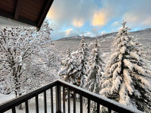 GRAND APPARTEMENT AVEC CHEMINEE DANS CHALET LA BUSSEROLE
