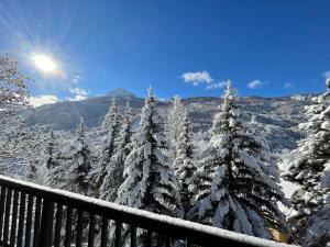 GRAND APPARTEMENT AVEC CHEMINEE DANS CHALET LA BUSSEROLE