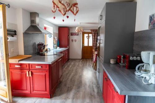 Grand appartement avec terrasse centre ville