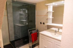 Grand appartement avec terrasse centre ville