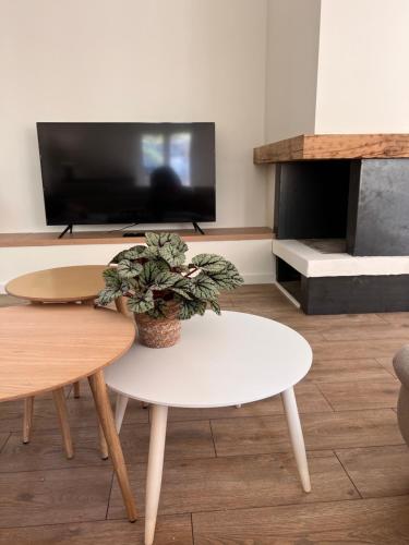 Grand appartement central