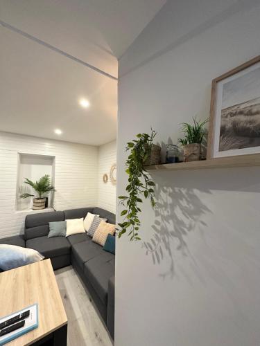 ** Grand appartement cosy au centre de Nay **