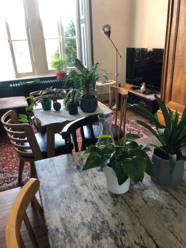 Grand appartement dans Belle maison avec un jardin