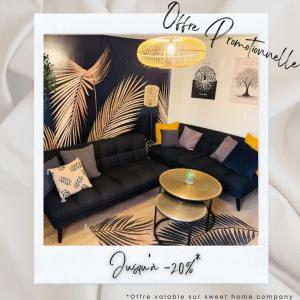 Grand Appartement \