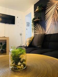 Grand Appartement \