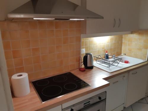 Grand appartement Lumineux