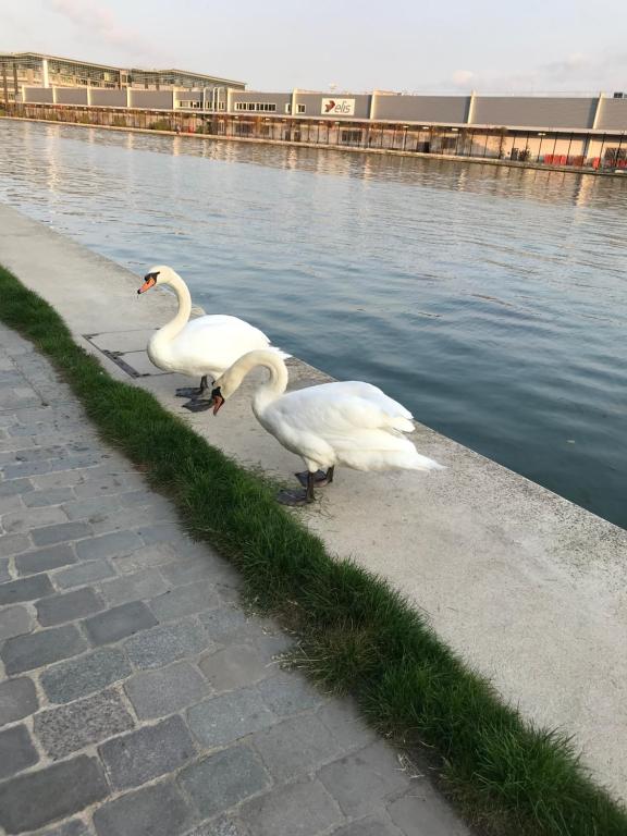 Appartement Grand appartement Paris, bord du Canal 37 Rue de l'Ancien Canal 93500 Pantin