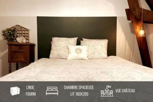 Grand appartement place Saint-Pierre, proche Château de Saumur et bord de Loire\