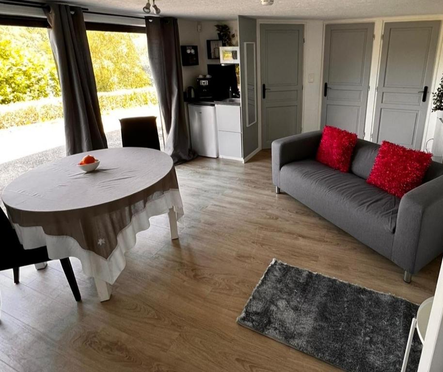 Grand appartement T2 avec Balcon et vue