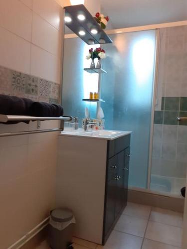 Grand appartement