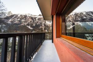 Grand appt vue Mont Blanc