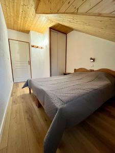 Grand duplex 84m2 pied des pistes 12 personnes