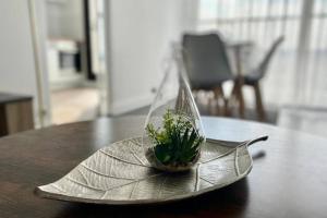 Grand F2 de 47m² au 15ème étage dans une résidence très calme